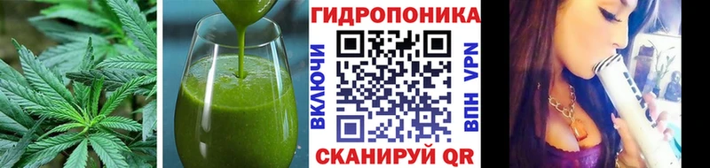 Еда ТГК марихуана  blacksprut зеркало  это Telegram  Гдов 