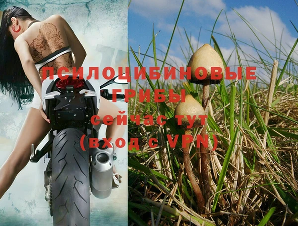 амфетамин Абдулино