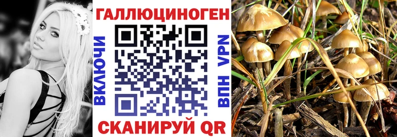 даркнет сайт  Гдов  Галлюциногенные грибы ЛСД 